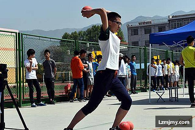 介绍333体育官网